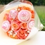 Picture of Blooming & Strawberries