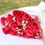 Picture of Fuchsia Dream